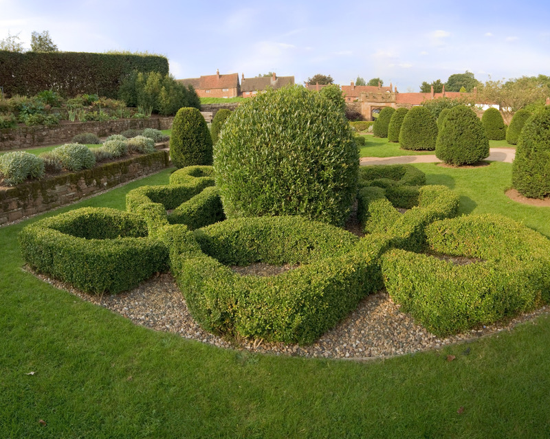 Garden grass