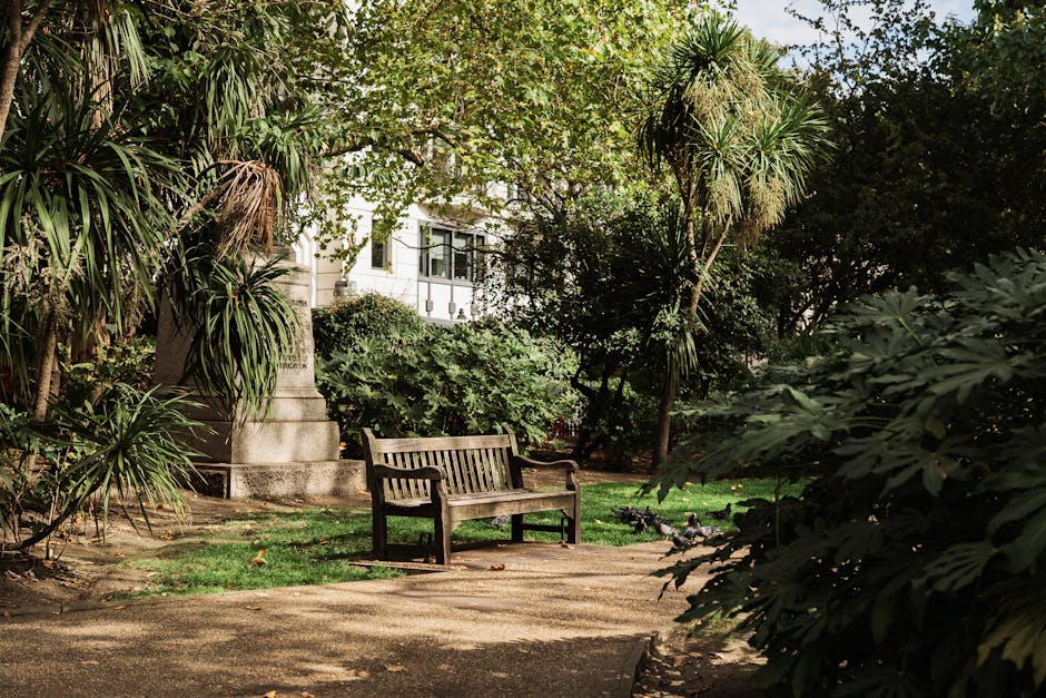 A tranquil garden scene featuring a wooden park bench positioned on a light brown, compacted gravel pathway, surrounded by lush greenery and mature trees. To the left, there are large, tropical-looking plants with long, pointed leaves and rough-textured trunks. Behind the bench, dense bushes with variegated leaves and a tall, slender palm-like tree add to the dense foliage. In the background, a stone monument with a rectangular plinth and engraved details is partially obscured by the plants. Sunlight filters through the canopy, casting dappled shadows on the grass and pathway, indicating a clear, bright day. The environment appears well-maintained, with neatly pruned bushes and a tidy lawn area, and the scene is typical of an urban park or garden designed for relaxation and outdoor enjoyment. The overall setting emphasizes quiet outdoor leisure, aligning with garden maintenance and landscape care themes, as seen on gardenerswestkensington.org.uk, which offers services like gardening, lawn care, hedge trimming, and outdoor upkeep.